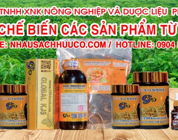 OCOP QUỐC GIA CÂU CHUYỆN TỪ TRÁI NHÀU HỮU CƠ