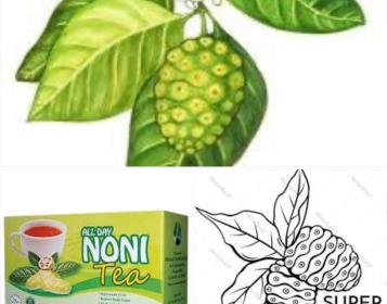 Trái nhàu-Noni green