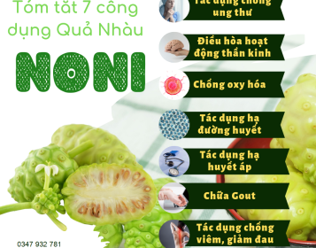 7 Tác Dụng Của Trái nhàu 