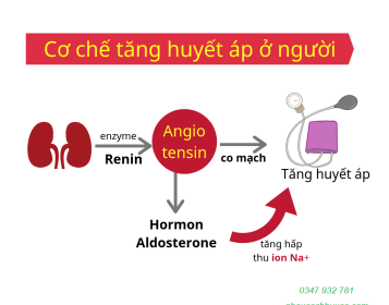 TĂNG HUYẾT ÁP LÀ GÌ?