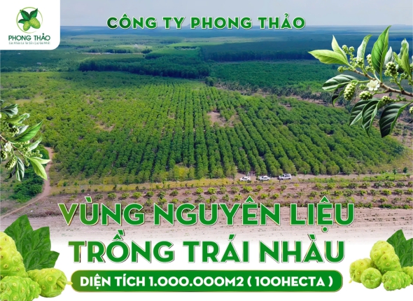 Vùng Nguyên Liệu Hữu Cơ