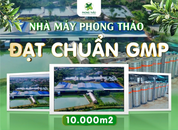 NHÀ MÁY ĐẠT CHUẨN GMP